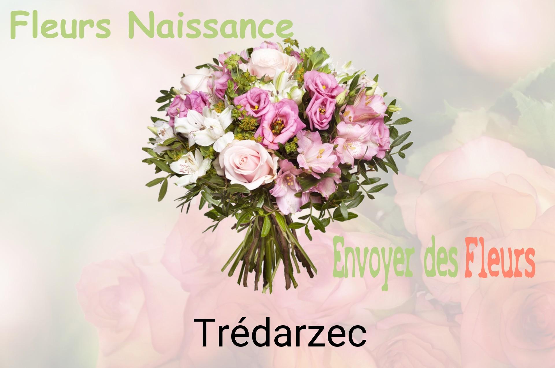 Bouquet de fleurs de naissance livré à Trédarzec